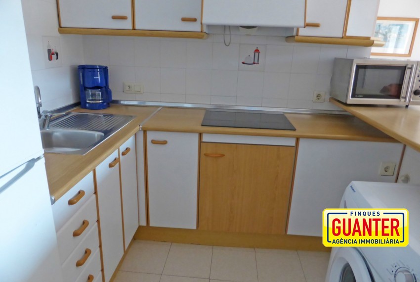 CLOTA PETITA C-6