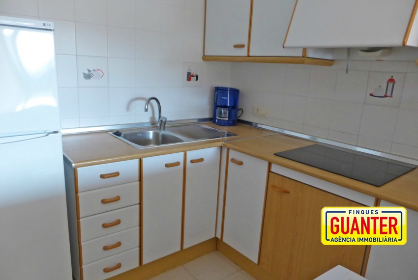 CLOTA PETITA C-6